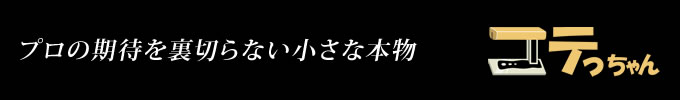 プロの期待を裏切らない小さな本物